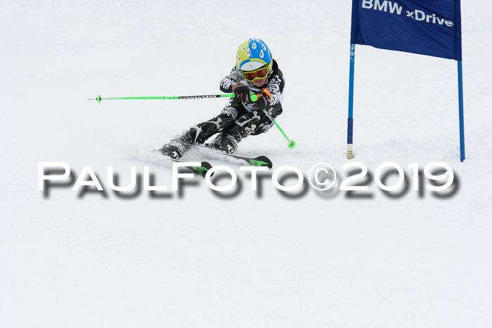 Werdenfelser Kinderskitag. mit Ziener und BZB Cup 2019