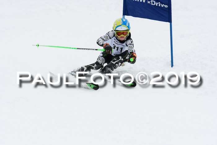 Werdenfelser Kinderskitag. mit Ziener und BZB Cup 2019