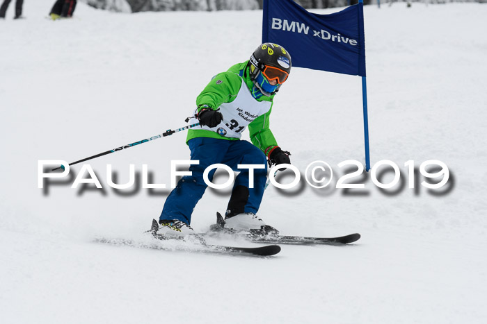 Werdenfelser Kinderskitag. mit Ziener und BZB Cup 2019