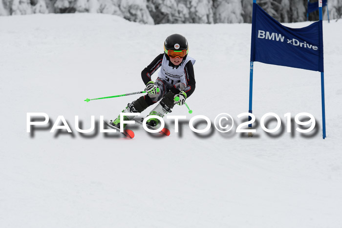 Werdenfelser Kinderskitag. mit Ziener und BZB Cup 2019