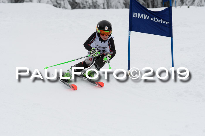 Werdenfelser Kinderskitag. mit Ziener und BZB Cup 2019