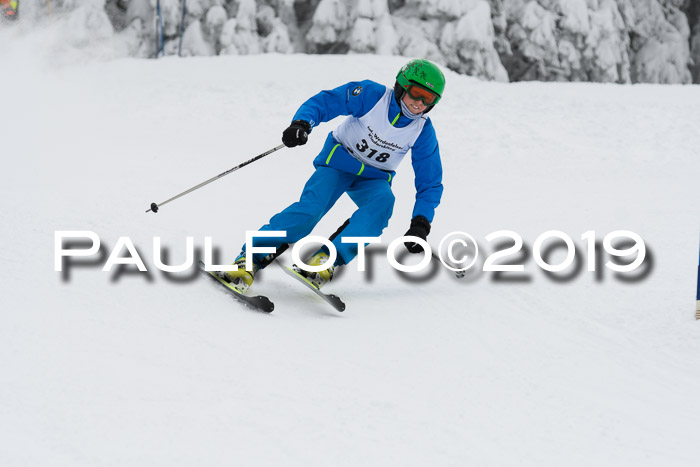 Werdenfelser Kinderskitag. mit Ziener und BZB Cup 2019