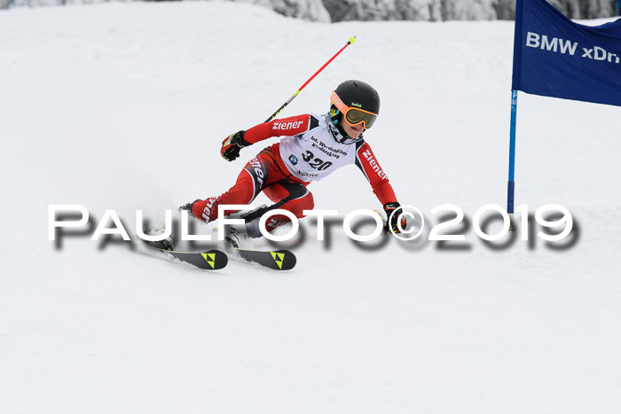 Werdenfelser Kinderskitag. mit Ziener und BZB Cup 2019