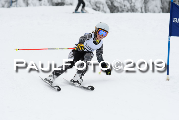 Werdenfelser Kinderskitag. mit Ziener und BZB Cup 2019