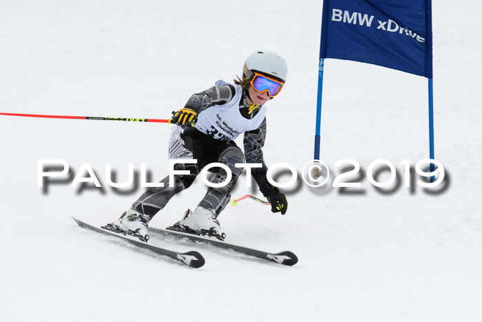 Werdenfelser Kinderskitag. mit Ziener und BZB Cup 2019