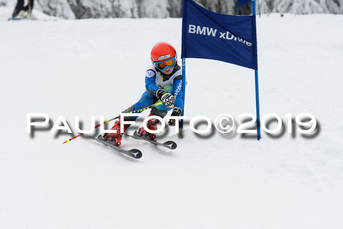 Werdenfelser Kinderskitag. mit Ziener und BZB Cup 2019