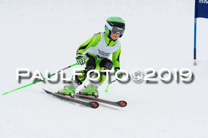 Werdenfelser Kinderskitag. mit Ziener und BZB Cup 2019