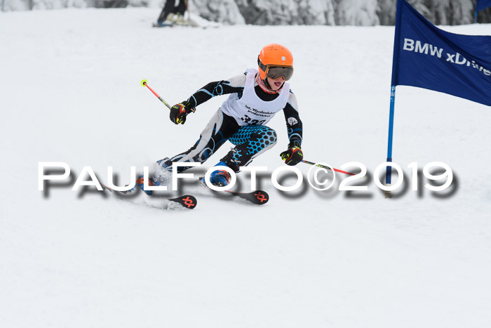 Werdenfelser Kinderskitag. mit Ziener und BZB Cup 2019