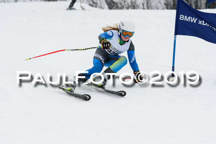 Werdenfelser Kinderskitag. mit Ziener und BZB Cup 2019