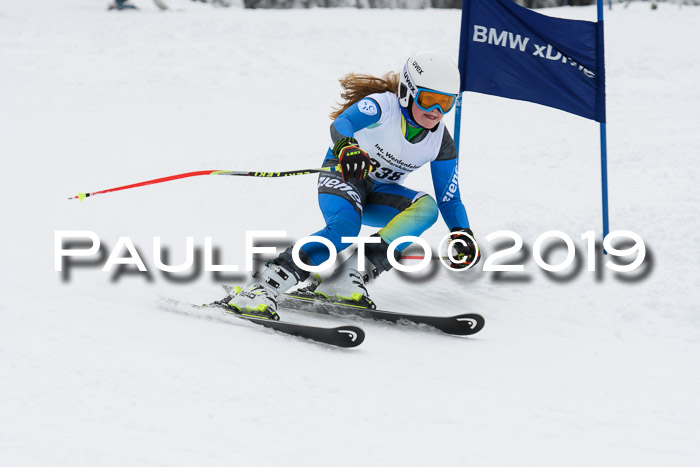 Werdenfelser Kinderskitag. mit Ziener und BZB Cup 2019