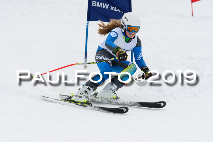 Werdenfelser Kinderskitag. mit Ziener und BZB Cup 2019