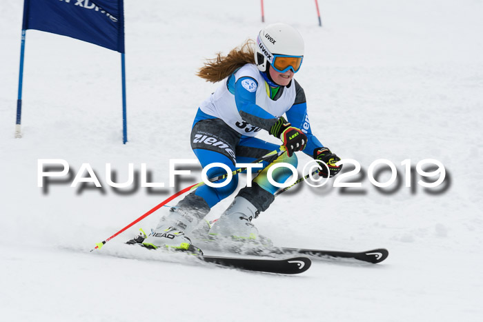 Werdenfelser Kinderskitag. mit Ziener und BZB Cup 2019