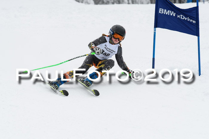 Werdenfelser Kinderskitag. mit Ziener und BZB Cup 2019