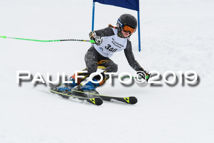 Werdenfelser Kinderskitag. mit Ziener und BZB Cup 2019