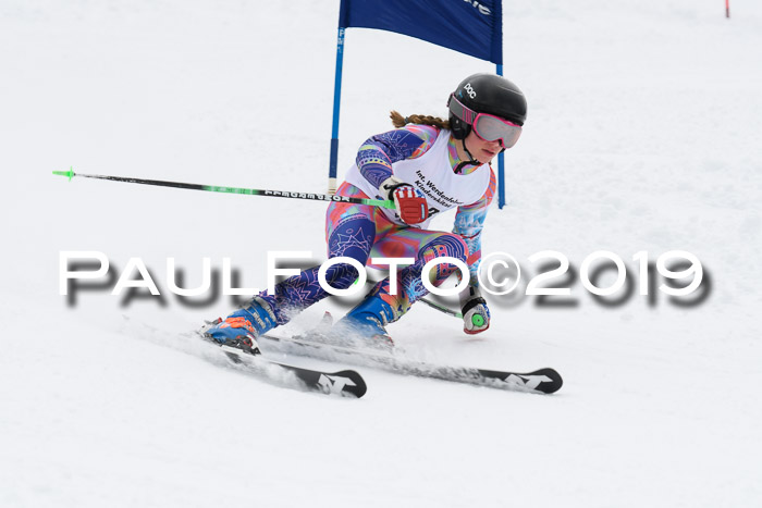 Werdenfelser Kinderskitag. mit Ziener und BZB Cup 2019