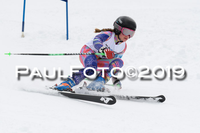 Werdenfelser Kinderskitag. mit Ziener und BZB Cup 2019