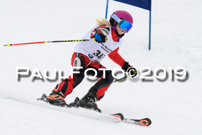 Werdenfelser Kinderskitag. mit Ziener und BZB Cup 2019