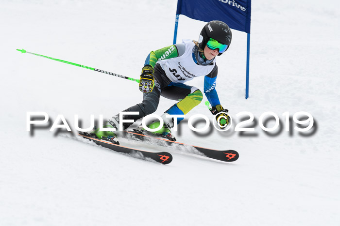 Werdenfelser Kinderskitag. mit Ziener und BZB Cup 2019