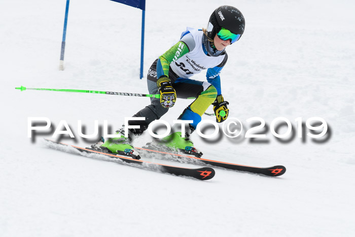 Werdenfelser Kinderskitag. mit Ziener und BZB Cup 2019