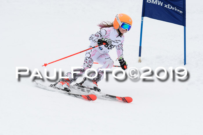 Werdenfelser Kinderskitag. mit Ziener und BZB Cup 2019