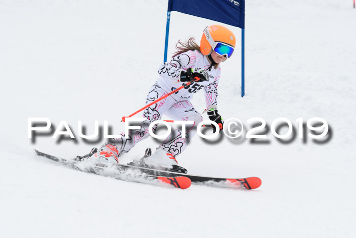 Werdenfelser Kinderskitag. mit Ziener und BZB Cup 2019