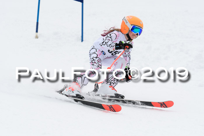 Werdenfelser Kinderskitag. mit Ziener und BZB Cup 2019