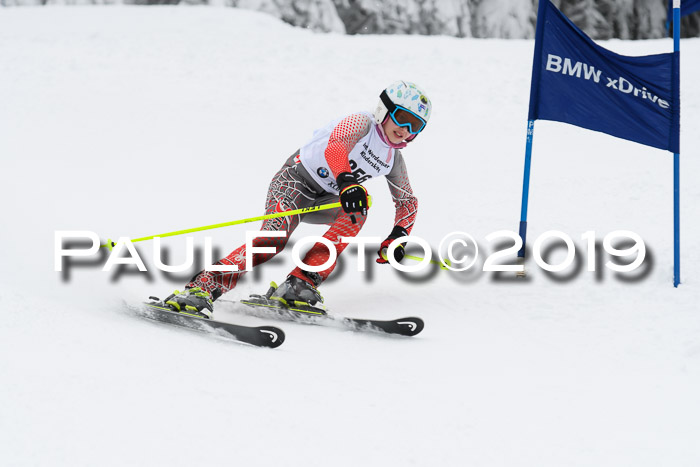 Werdenfelser Kinderskitag. mit Ziener und BZB Cup 2019