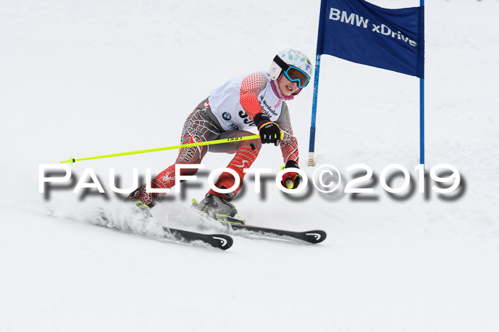 Werdenfelser Kinderskitag. mit Ziener und BZB Cup 2019