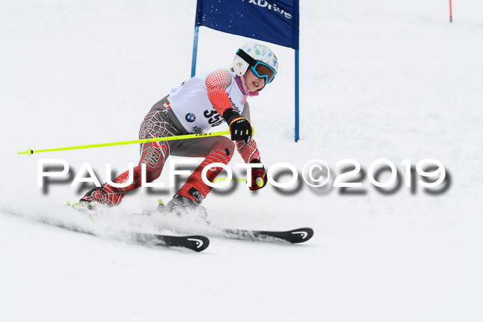 Werdenfelser Kinderskitag. mit Ziener und BZB Cup 2019