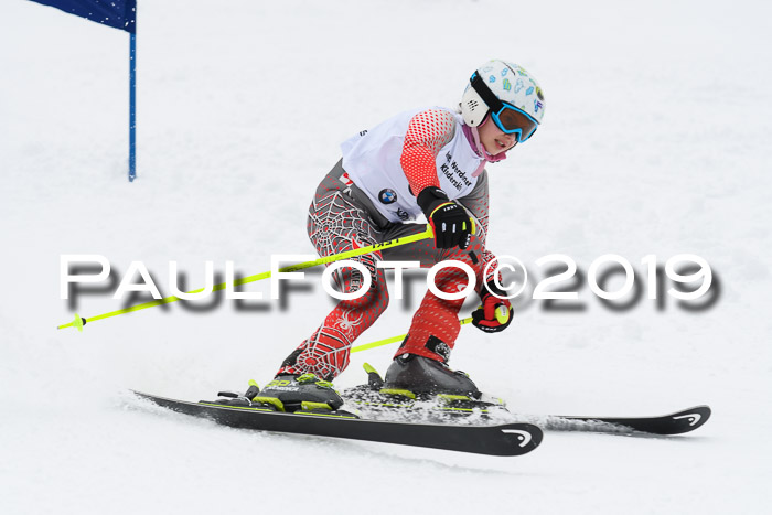 Werdenfelser Kinderskitag. mit Ziener und BZB Cup 2019