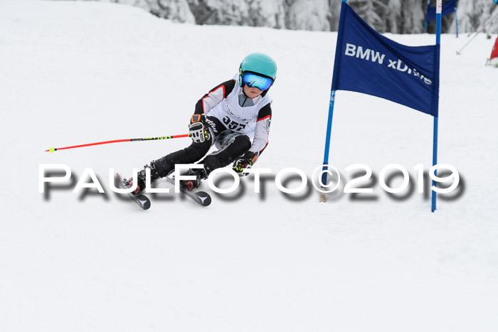 Werdenfelser Kinderskitag. mit Ziener und BZB Cup 2019