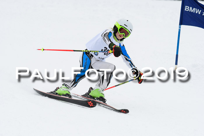 Werdenfelser Kinderskitag. mit Ziener und BZB Cup 2019