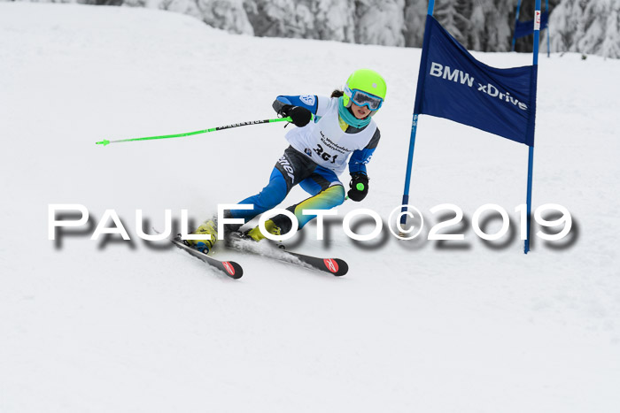 Werdenfelser Kinderskitag. mit Ziener und BZB Cup 2019