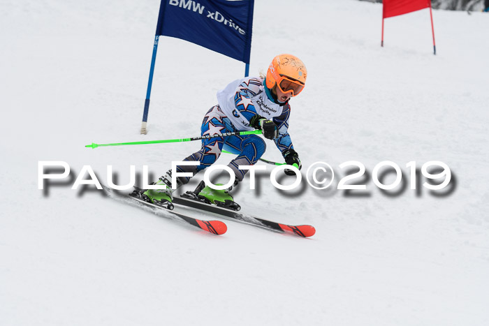 Werdenfelser Kinderskitag. mit Ziener und BZB Cup 2019