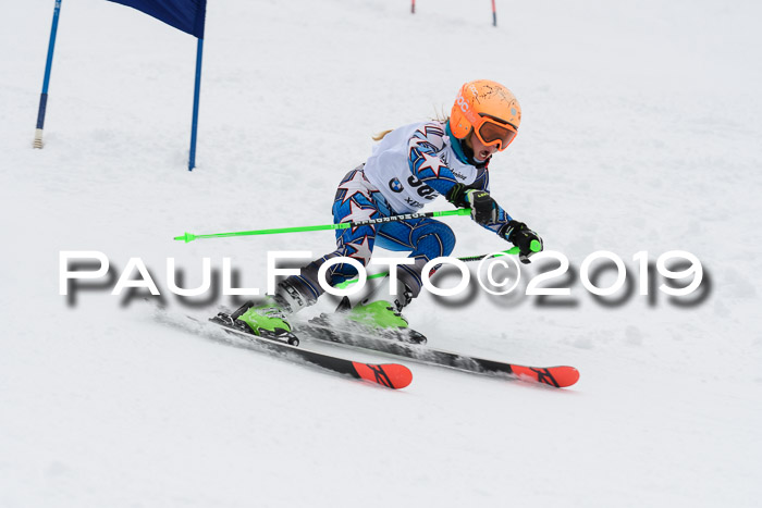 Werdenfelser Kinderskitag. mit Ziener und BZB Cup 2019