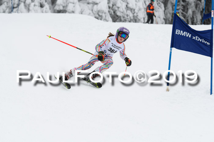 Werdenfelser Kinderskitag. mit Ziener und BZB Cup 2019