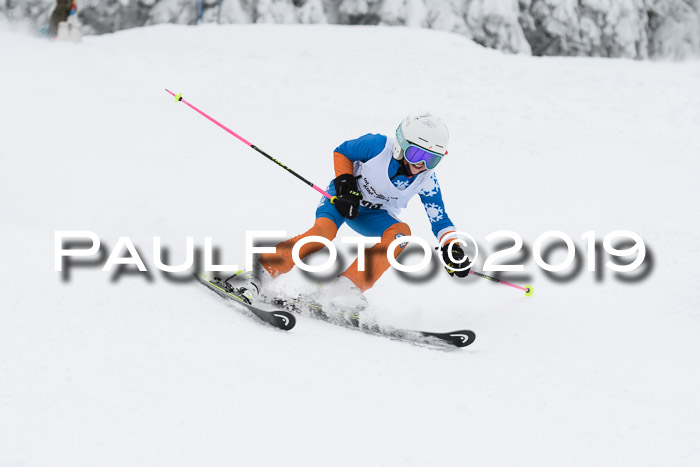 Werdenfelser Kinderskitag. mit Ziener und BZB Cup 2019