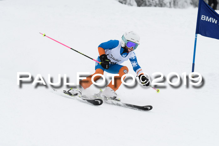 Werdenfelser Kinderskitag. mit Ziener und BZB Cup 2019