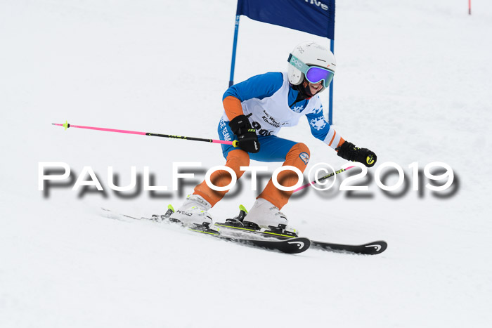 Werdenfelser Kinderskitag. mit Ziener und BZB Cup 2019