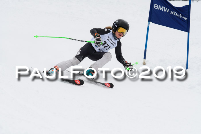 Werdenfelser Kinderskitag. mit Ziener und BZB Cup 2019