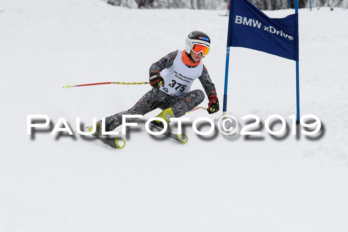 Werdenfelser Kinderskitag. mit Ziener und BZB Cup 2019