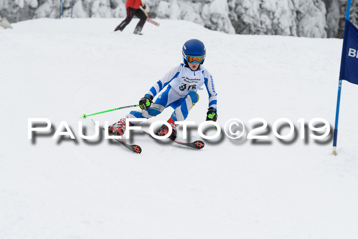 Werdenfelser Kinderskitag. mit Ziener und BZB Cup 2019