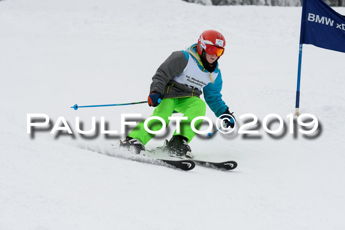 Werdenfelser Kinderskitag. mit Ziener und BZB Cup 2019