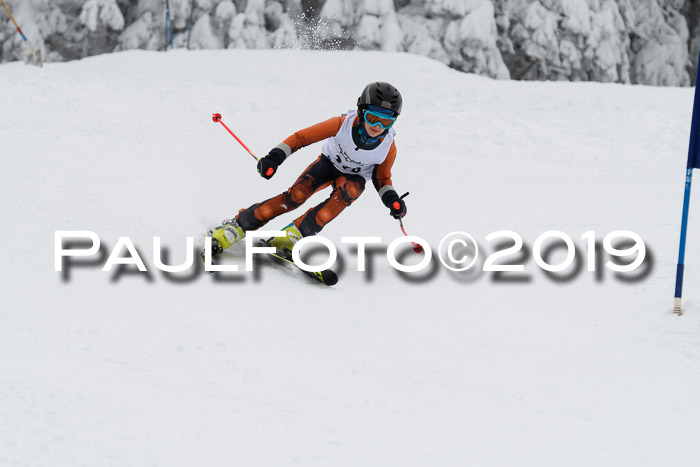 Werdenfelser Kinderskitag. mit Ziener und BZB Cup 2019