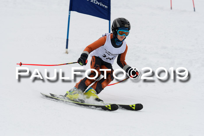 Werdenfelser Kinderskitag. mit Ziener und BZB Cup 2019