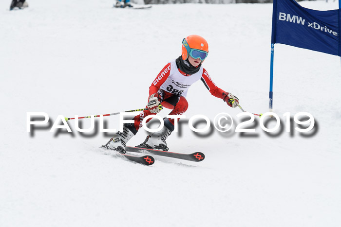 Werdenfelser Kinderskitag. mit Ziener und BZB Cup 2019