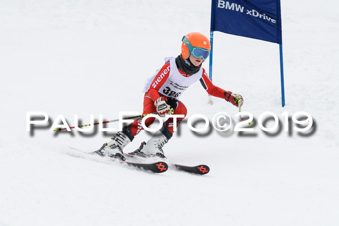 Werdenfelser Kinderskitag. mit Ziener und BZB Cup 2019