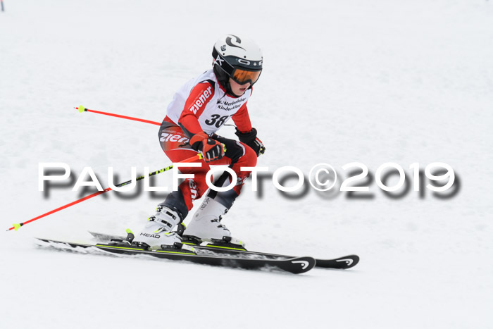 Werdenfelser Kinderskitag. mit Ziener und BZB Cup 2019