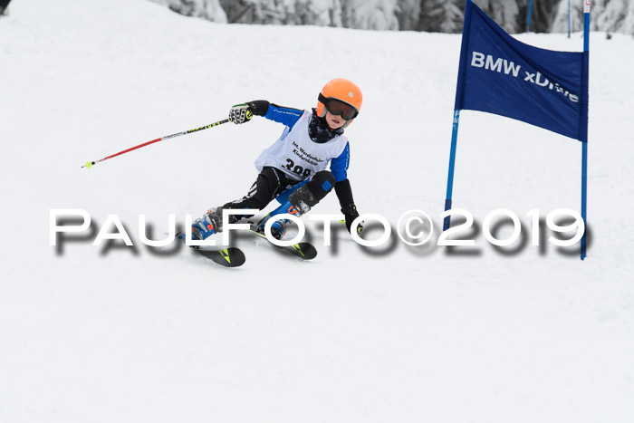 Werdenfelser Kinderskitag. mit Ziener und BZB Cup 2019