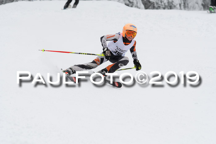 Werdenfelser Kinderskitag. mit Ziener und BZB Cup 2019